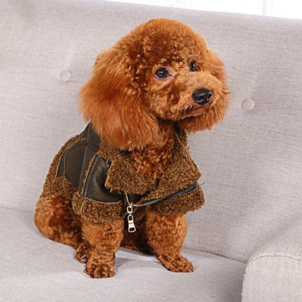 Motorcycle Gear Dogs - Dog Warm Coat Thickened Dog Leather