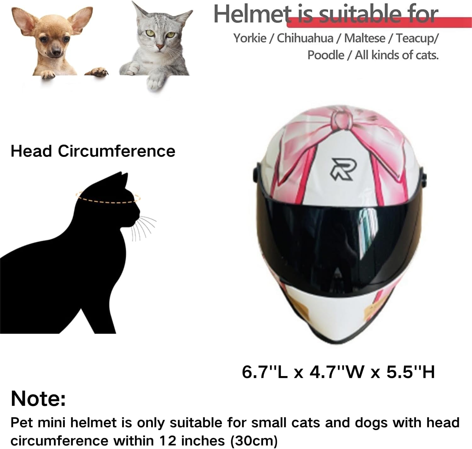 Cat Motorcycle Helmet Full Fac - Motorcycle Gear Dogs recension och pris