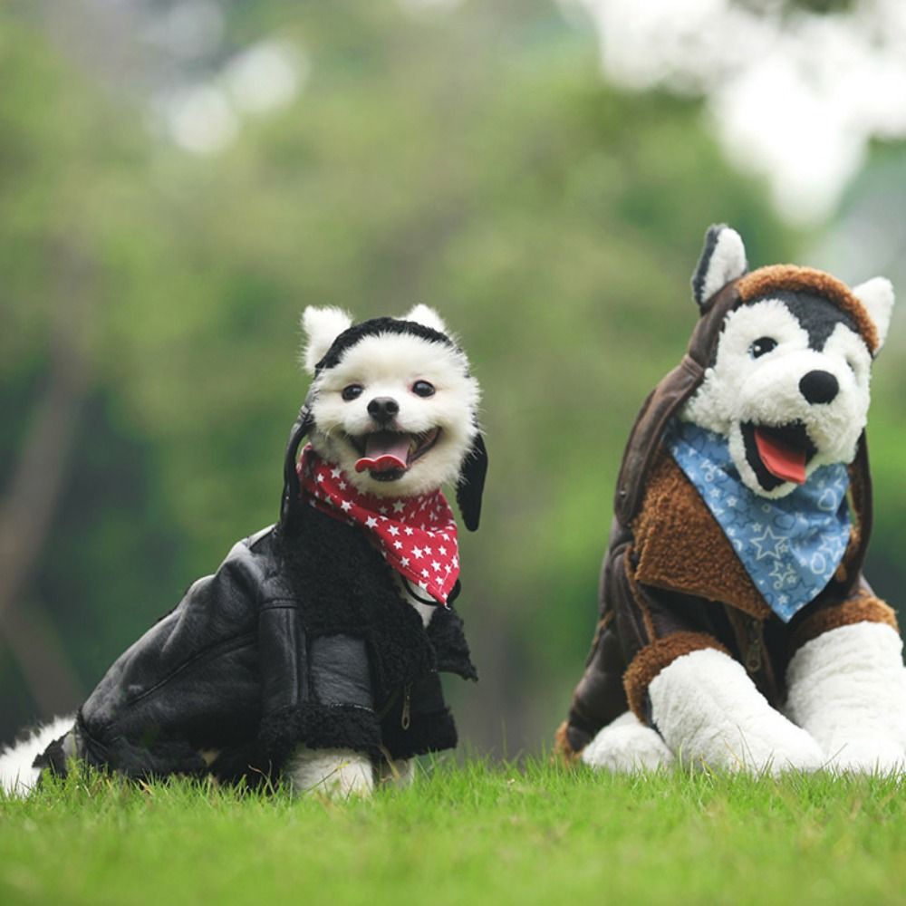 Dog Warm Coat Thickened Dog Le - Motorcycle Gear Dogs recension och pris
