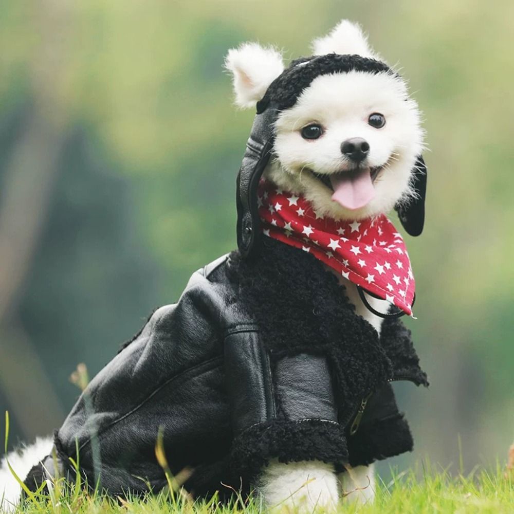 Dog Warm Coat Thickened Dog Le - Motorcycle Gear Dogs recension och pris
