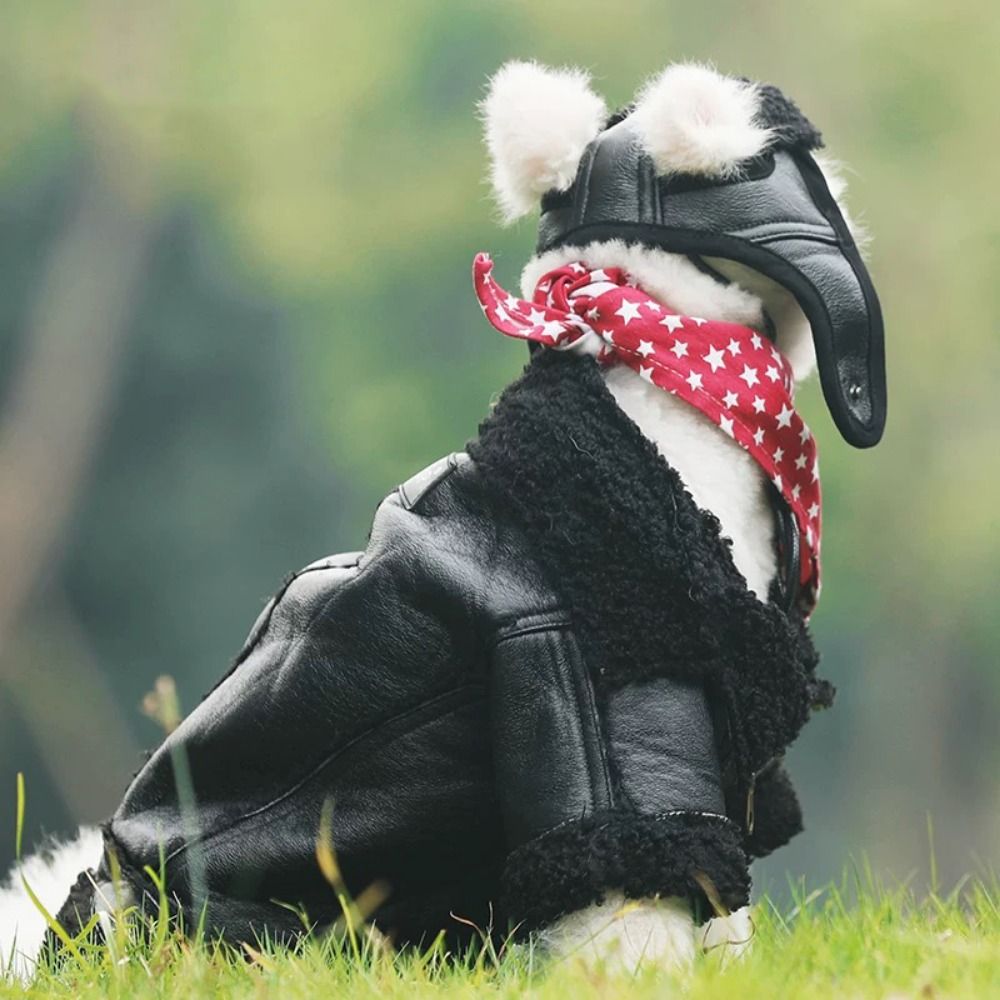Dog Warm Coat Thickened Dog Le - Motorcycle Gear Dogs recension och pris
