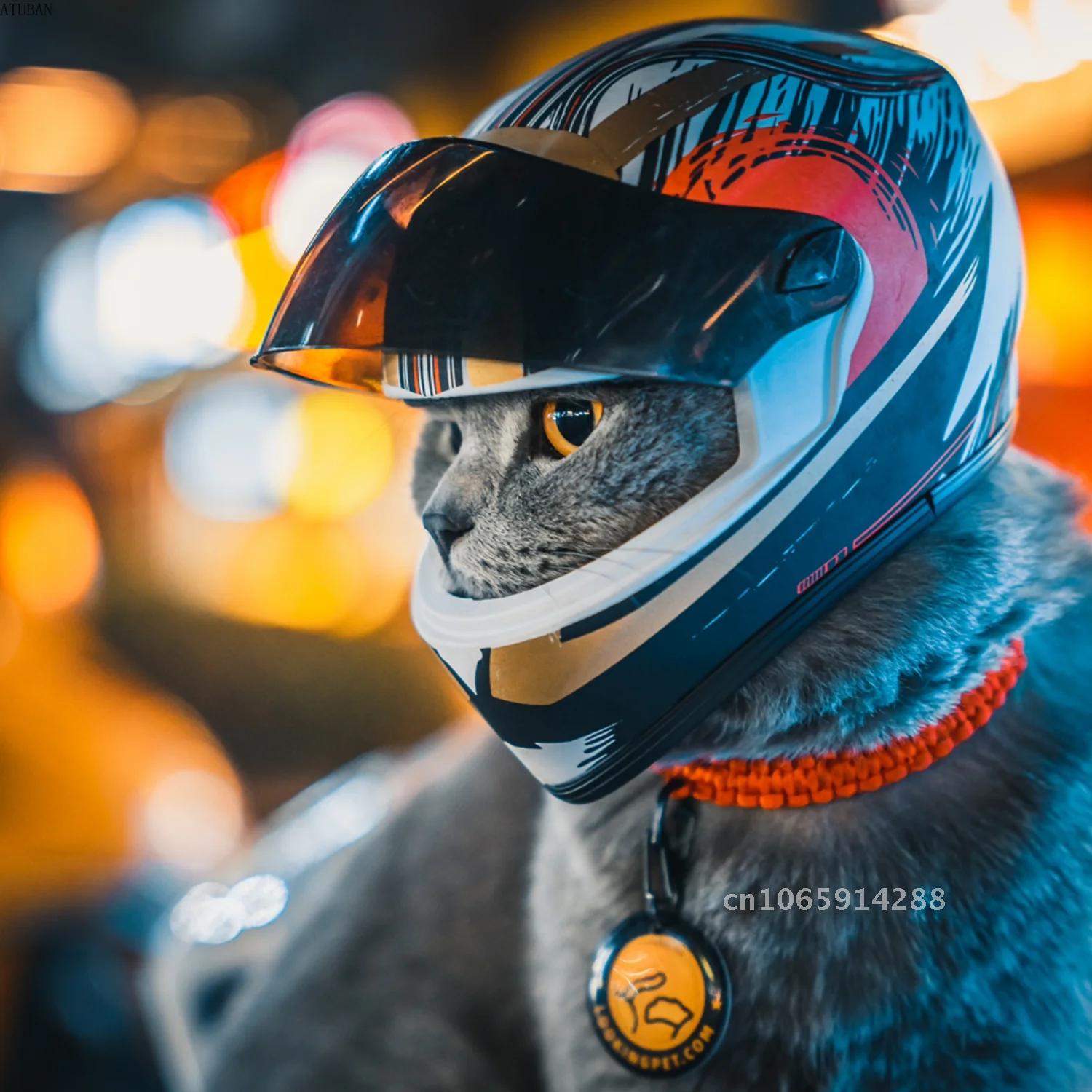 Photo Pet Helmets,Cat Helmet,D - Motorcycle Gear Dogs recension och pris